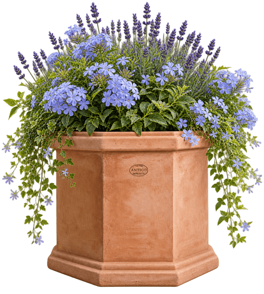 Pot Octogonal Terre Cuite Impruneta 55 cm | Artisanal
